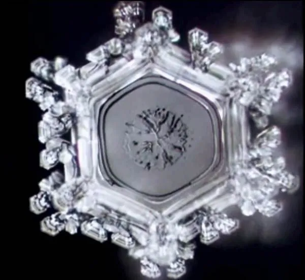 HYDRATION ROADBLOCKS thumbnail