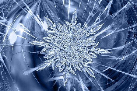 STRUCTURED WATER : EFFECTS ON ANIMALS thumbnail