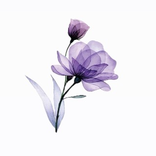 Amazon Reviews  thumbnail