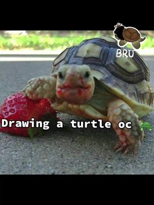 it's my secondary fursona 🐢 . . . . #artist #furry #fursona #fy #art 