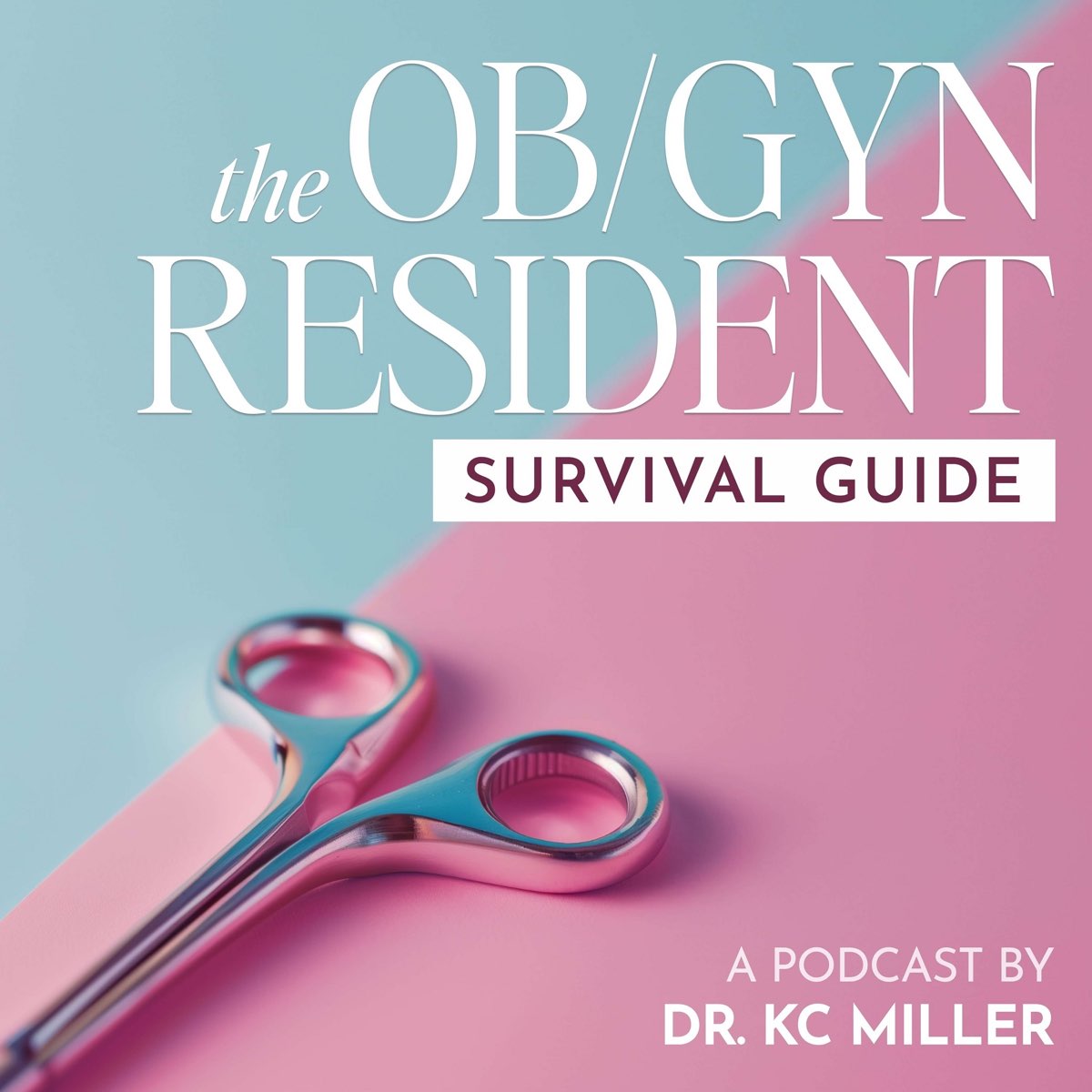 The OB/GYN Resident Survival Guide thumbnail
