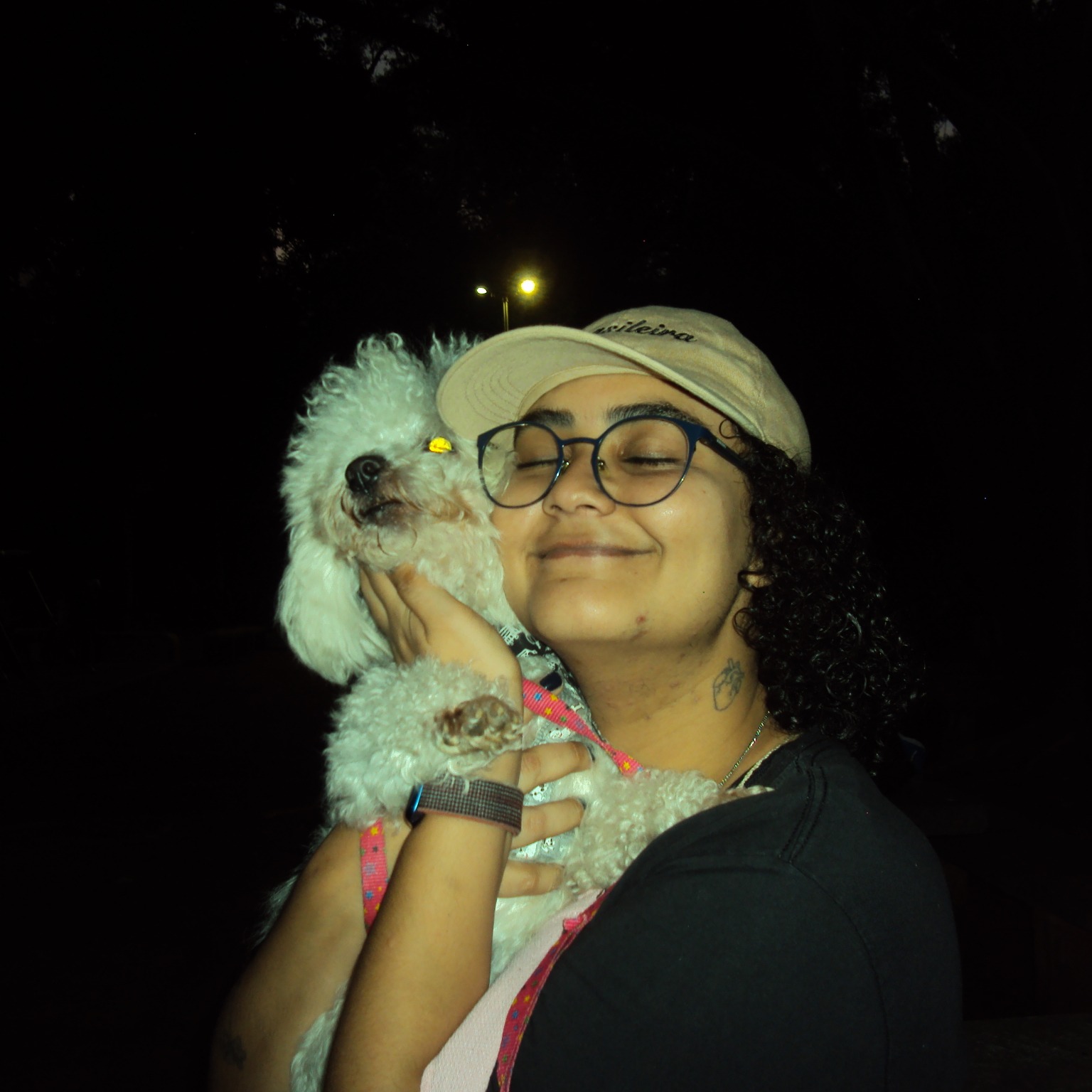 hoje é dia | no seu e-mail  thumbnail