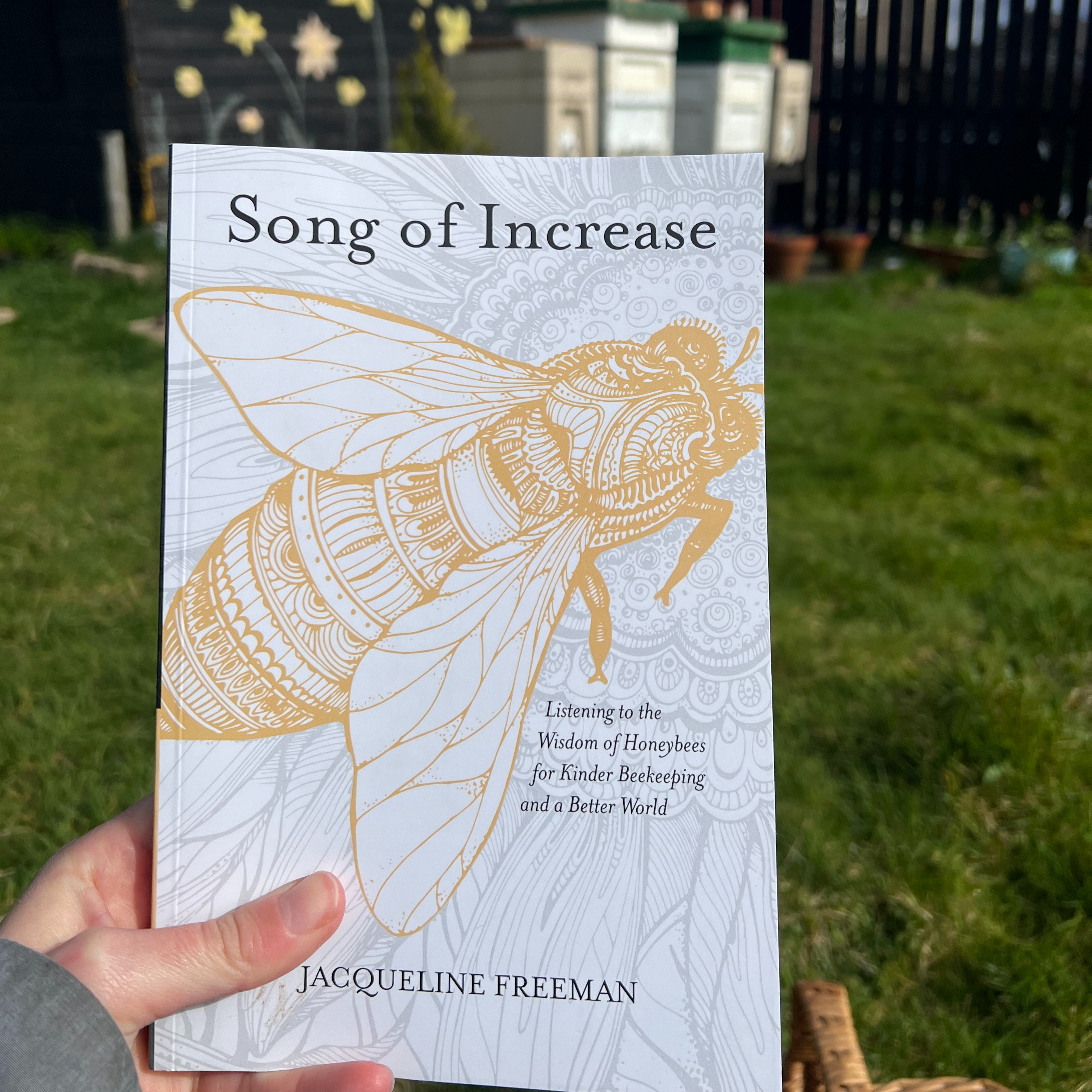 Explore the Beewitching Booklist thumbnail