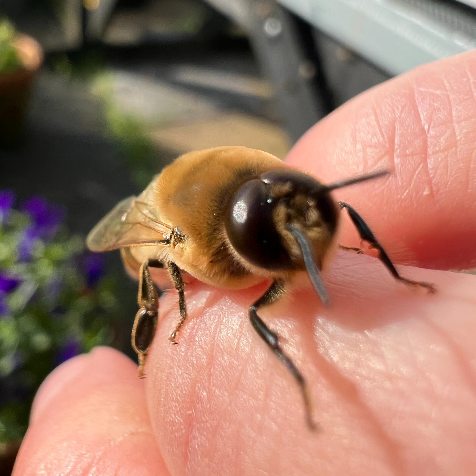 Learn & Join thumbnail