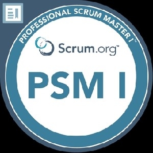 Professional Scrum Master thumbnail