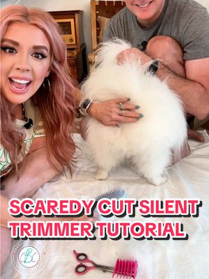 Our new favorite pet grooming tool is worth checking out! #trending #satisfying #doggrooming #scaredycut #grooming #amer