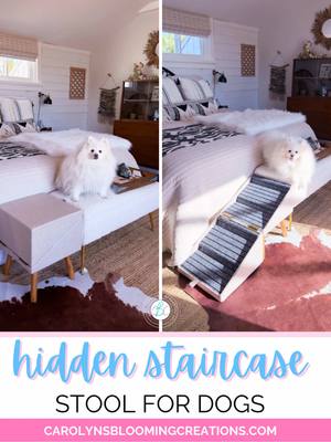 POV: You buy a secret staircase because your tiny queen refuses to admit she’s aging 👑🐾 Our hidden staircase stool = the
