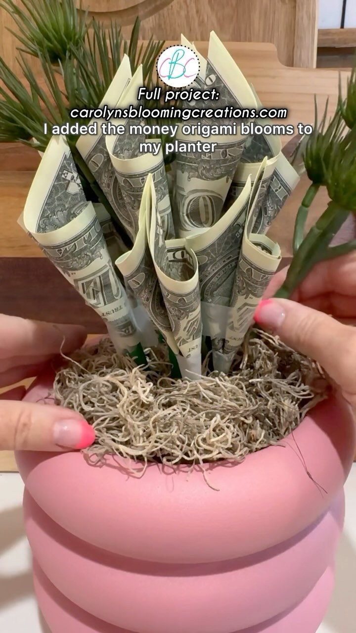 A fun DIY money origami money plant! Link to project and supplies: on my profile! #walmartcreator #graduation #giftideas