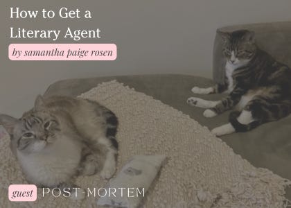 “How to Get a Literary Agent” | POST-MORTEM, Emi Nietfeld’s newsletter thumbnail