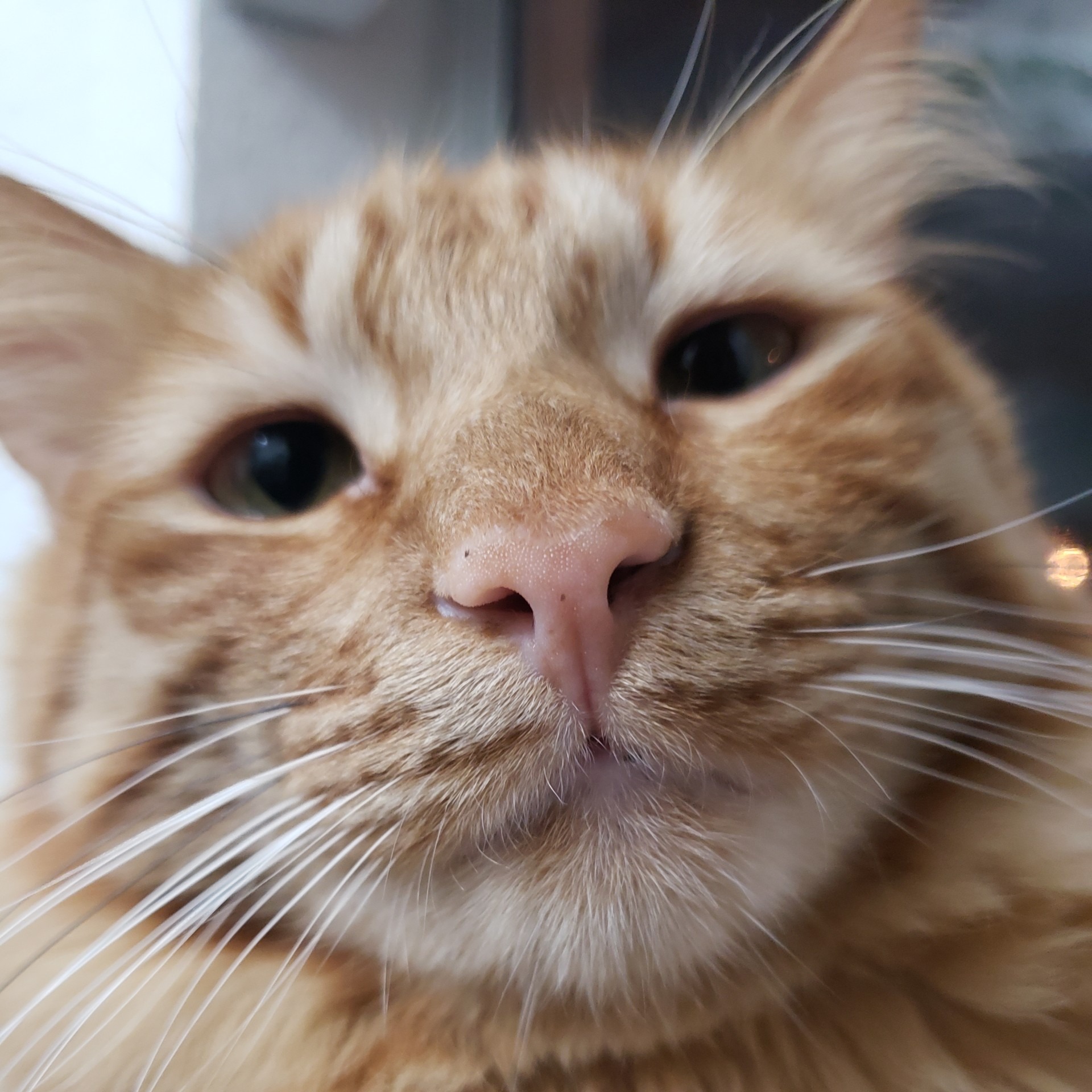 Main Bio Link! thumbnail