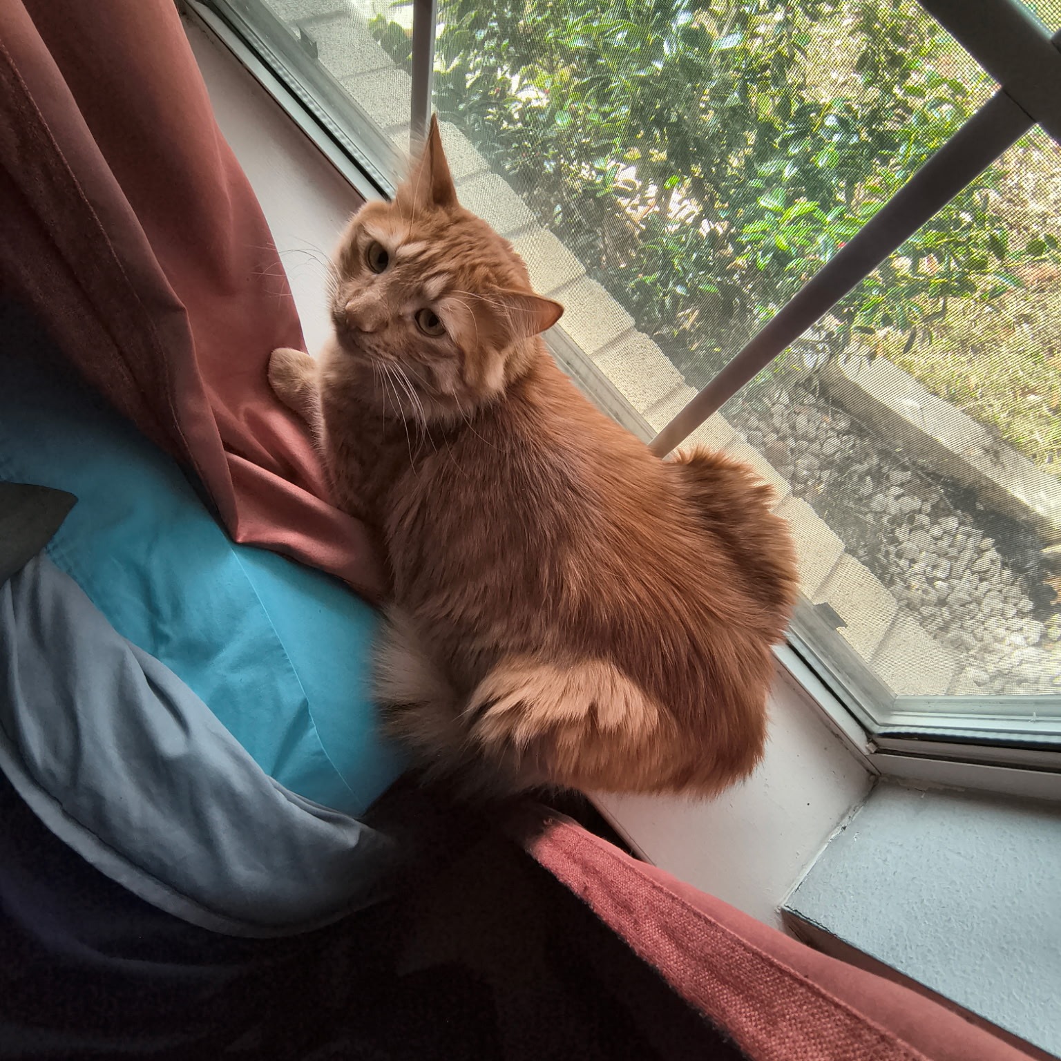 KICK Account! thumbnail