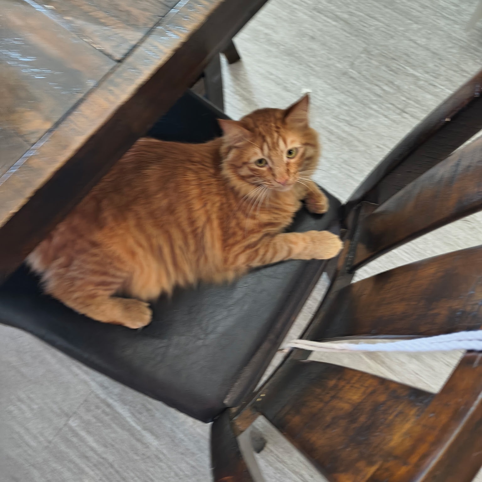 Steam Account! thumbnail