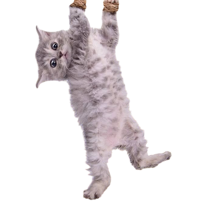 Roblox Account! thumbnail