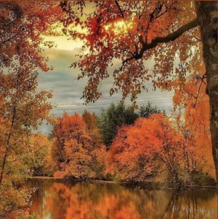 Dreamy Songs For Autumn thumbnail