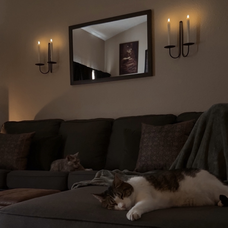 // living room thumbnail
