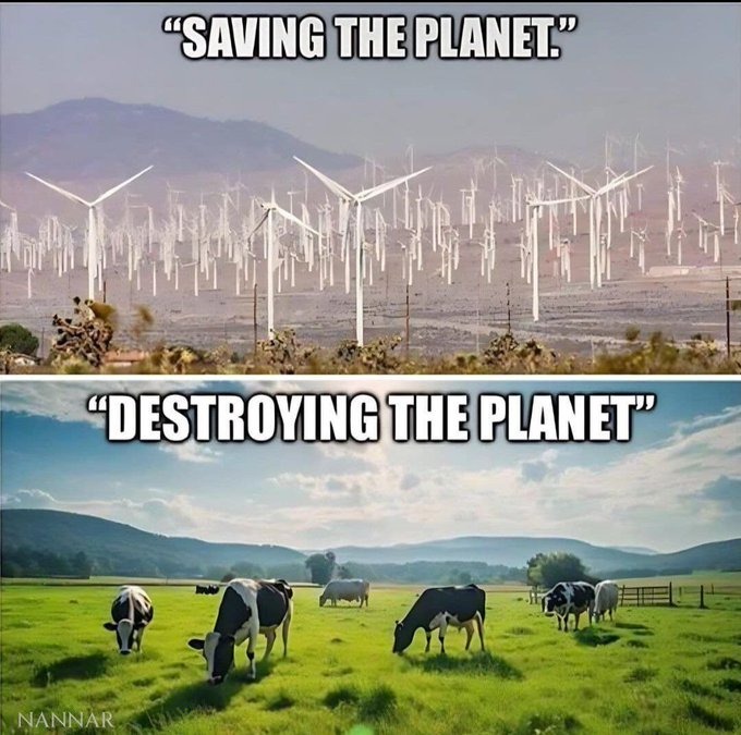 Les Catacombes de Paris - Webcam thumbnail