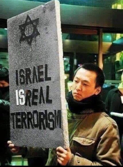 Elevate Your Wellness With PEMF Therapy and Qi Coil
∣ Qi Life Store thumbnail