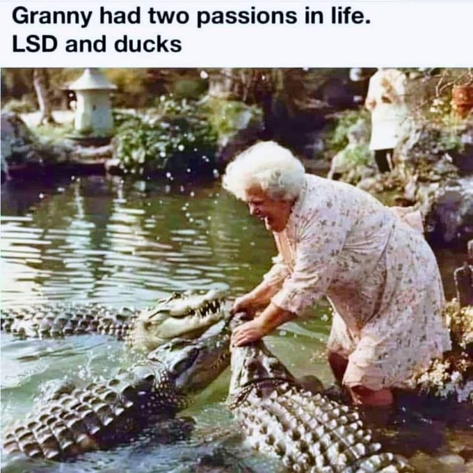 Home - The Unicorns Playbook thumbnail