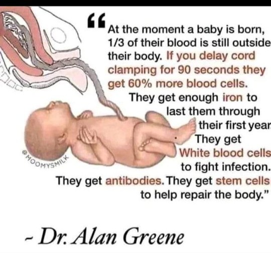 Homicide Monitor thumbnail