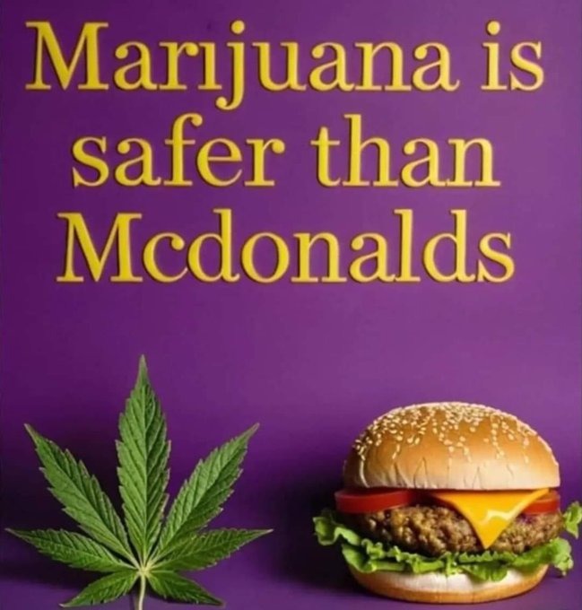 Dragon's Dogma Wiki thumbnail