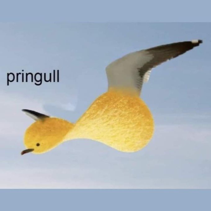 Died in House™ We help answer 'Has Someone Died in Your House?' thumbnail