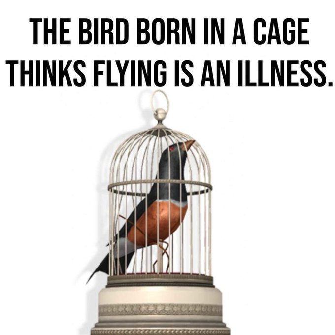 Create Presentations, Infographics, Design & Video | Visme thumbnail