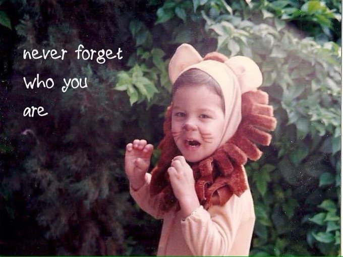 Disclosure Hub Official Site thumbnail