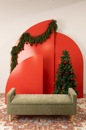 Christmas Mini sessions 2025 thumbnail