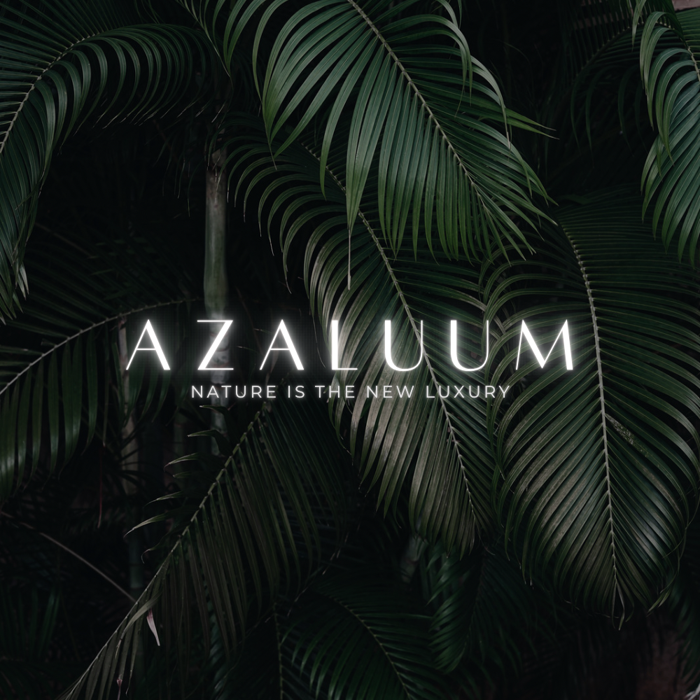 Azaluum - TULUM thumbnail