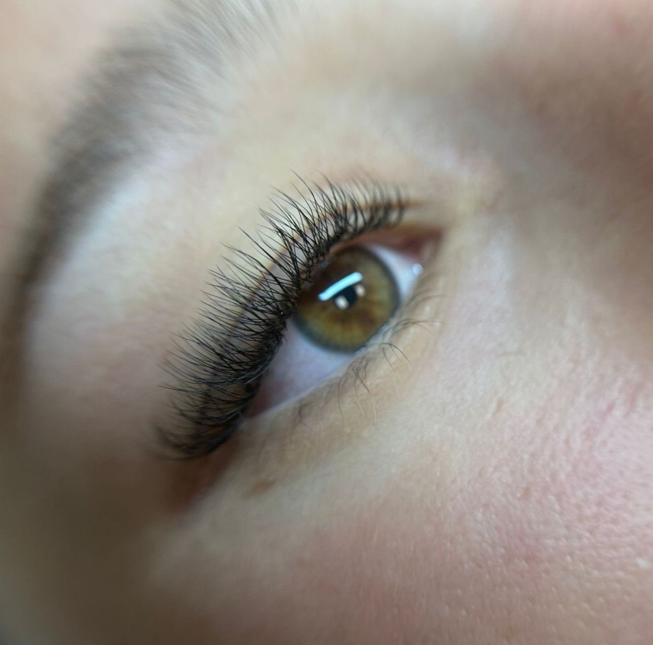 VOLUME EGIPCIO - 55€ thumbnail