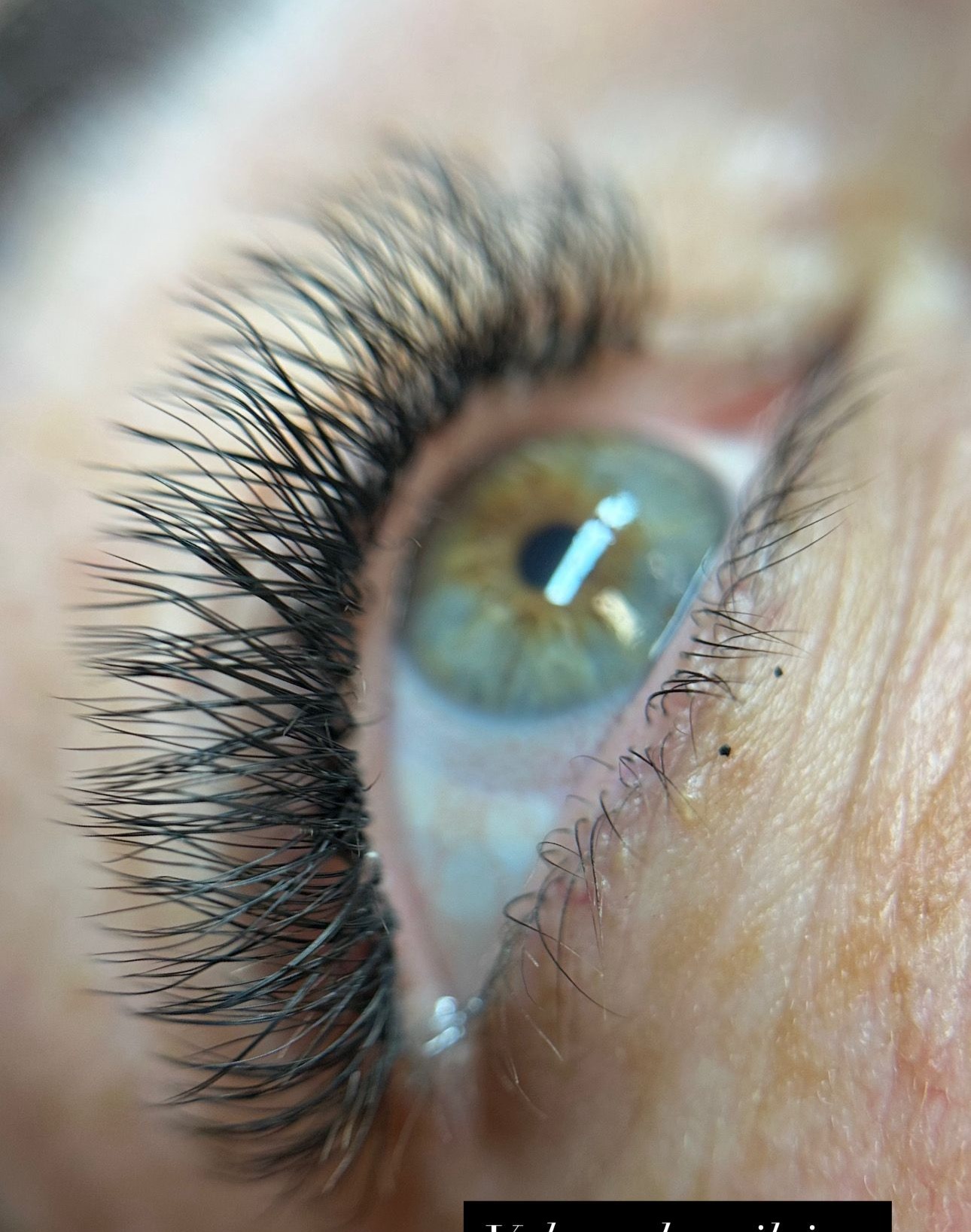 VOLUME BRASILEIRO - 45€ thumbnail