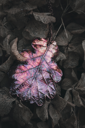 Collane con vere foglie thumbnail