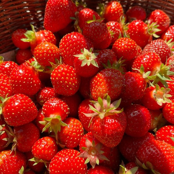 Pesticide Purifier- code: CEILEEN thumbnail