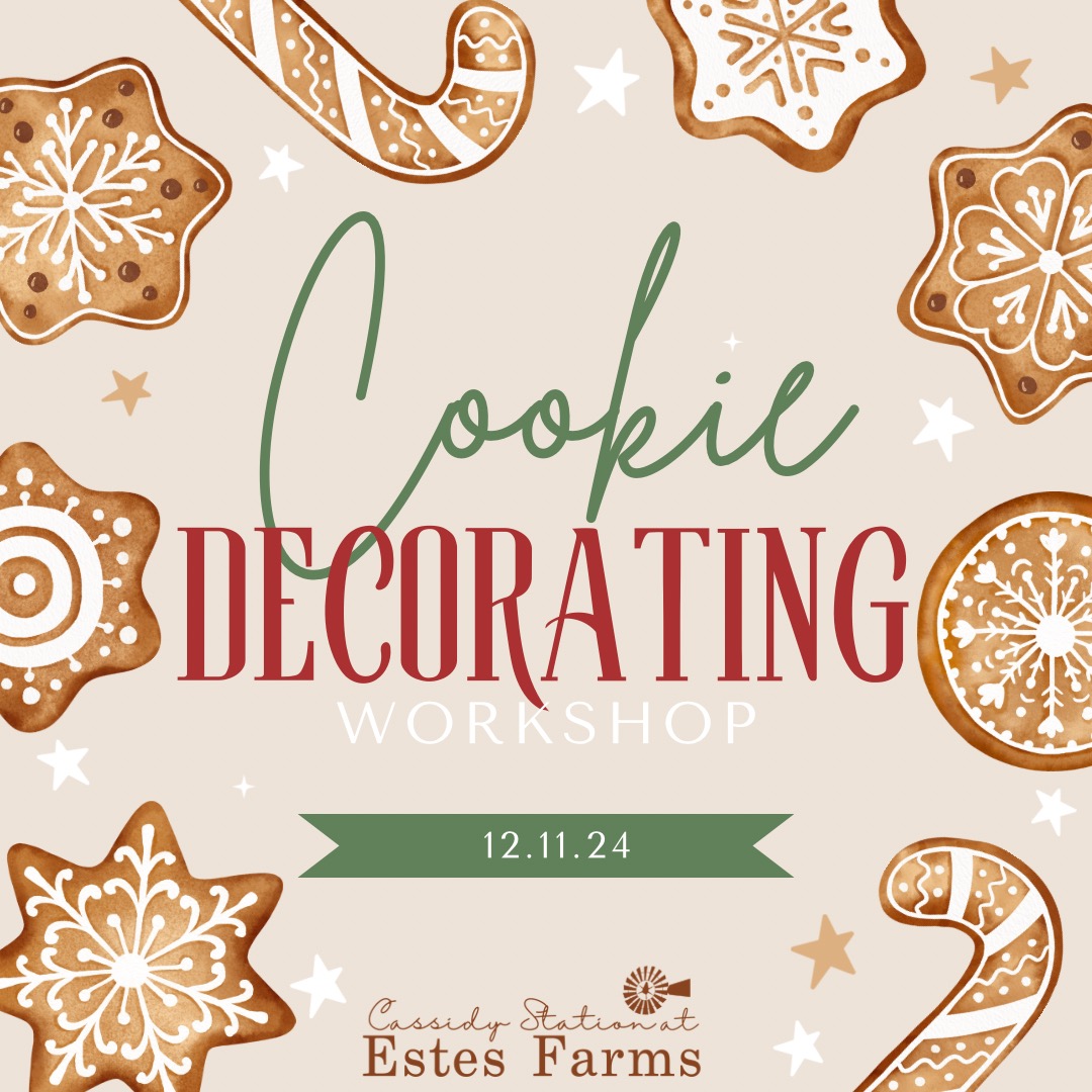 Dec 11th - Cookie Decorating Workshop thumbnail