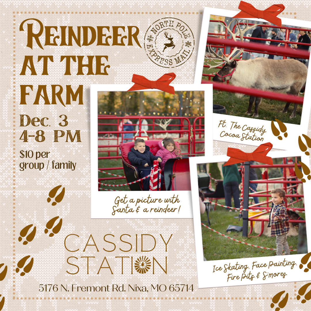 December 3rd | Reindeer at the Farm thumbnail