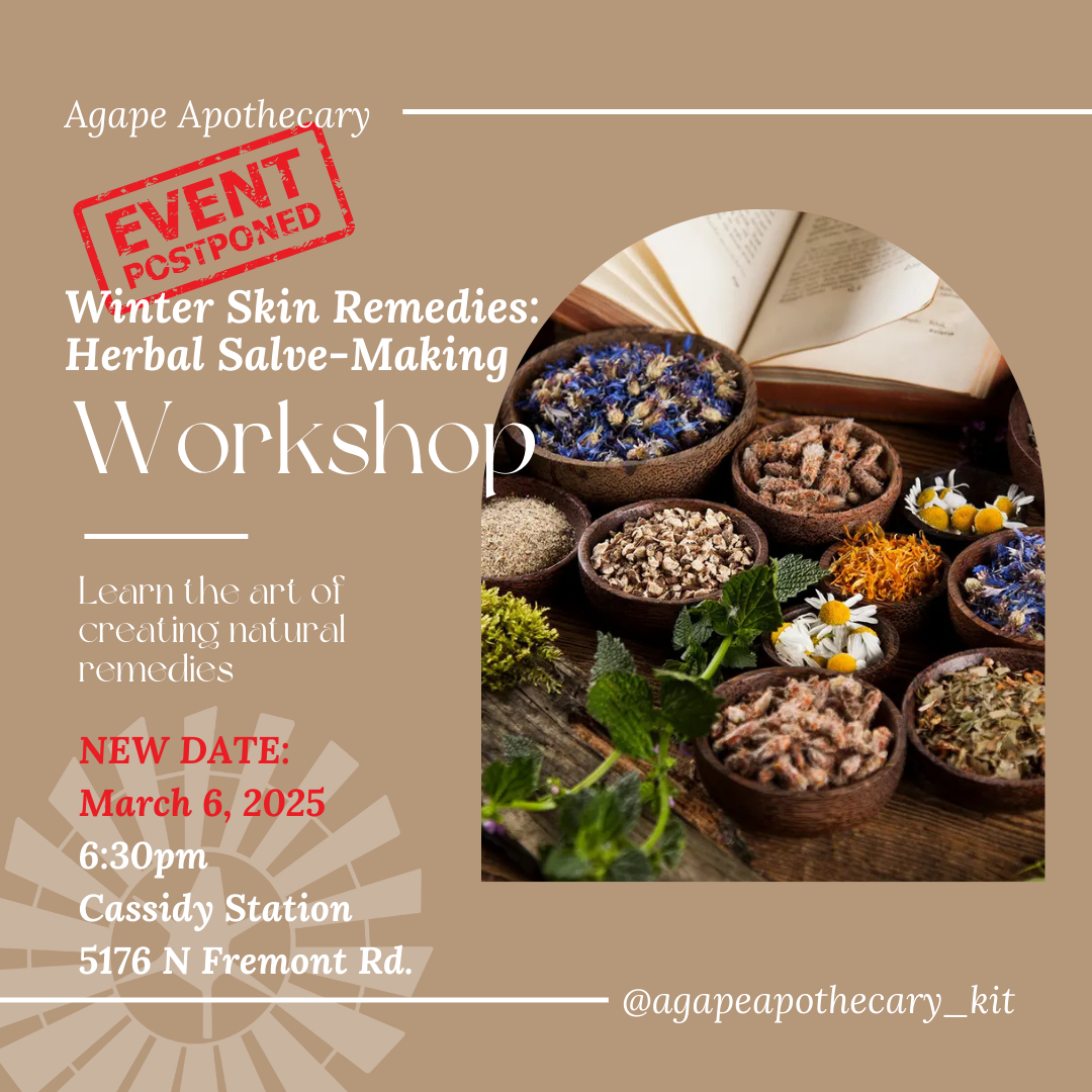 March 6th | Herbal Salve-Making Workshop thumbnail