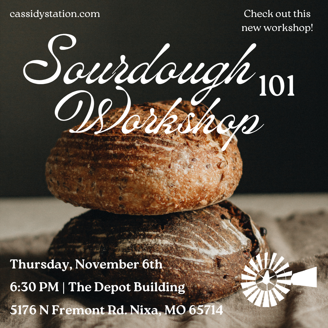 November 6th | Sourdough 101 Workshop thumbnail