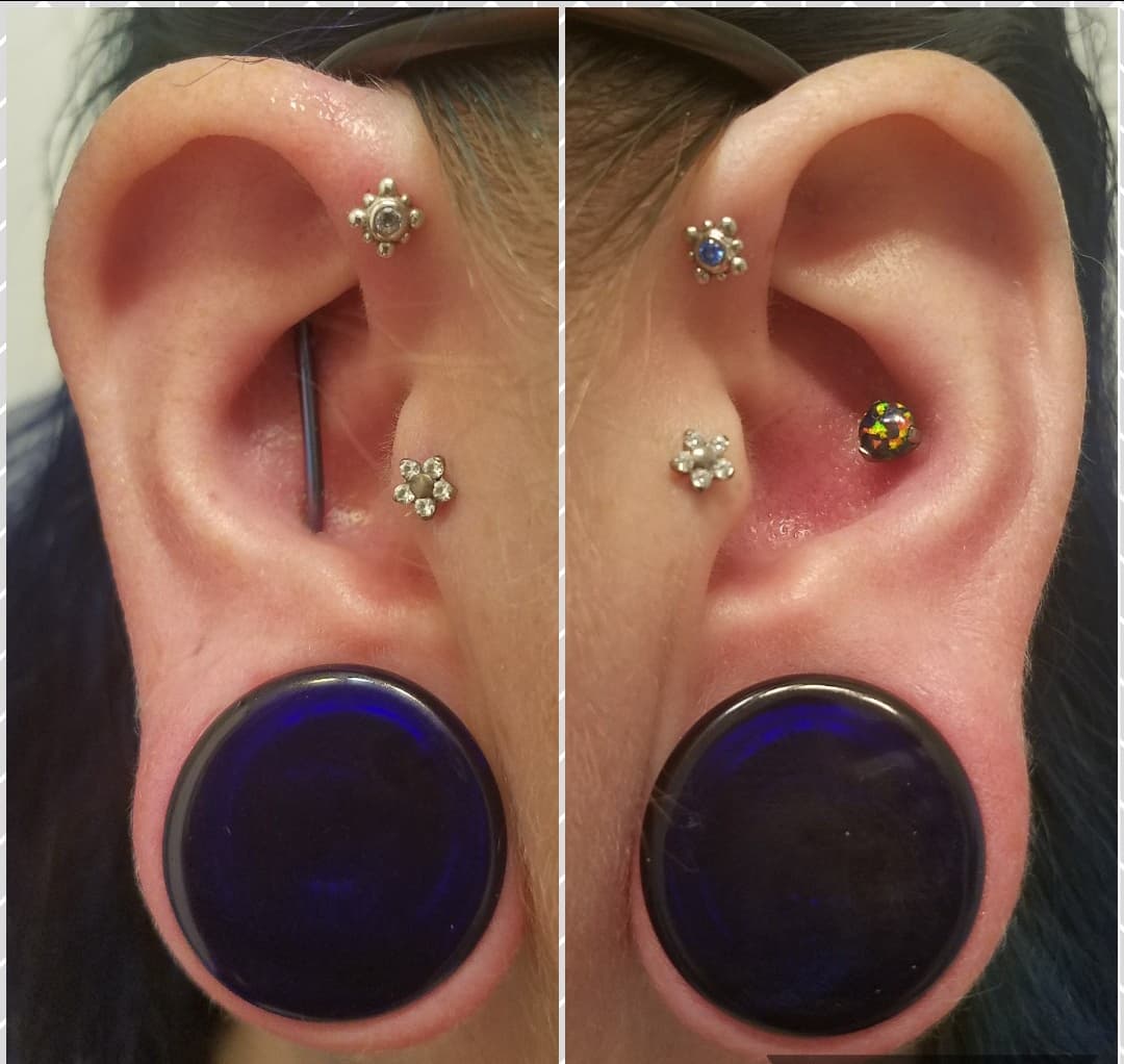 A cool ear curation of industrial piercings, plugs, forward helix piercings, tragus piercings and an outer conch piercin