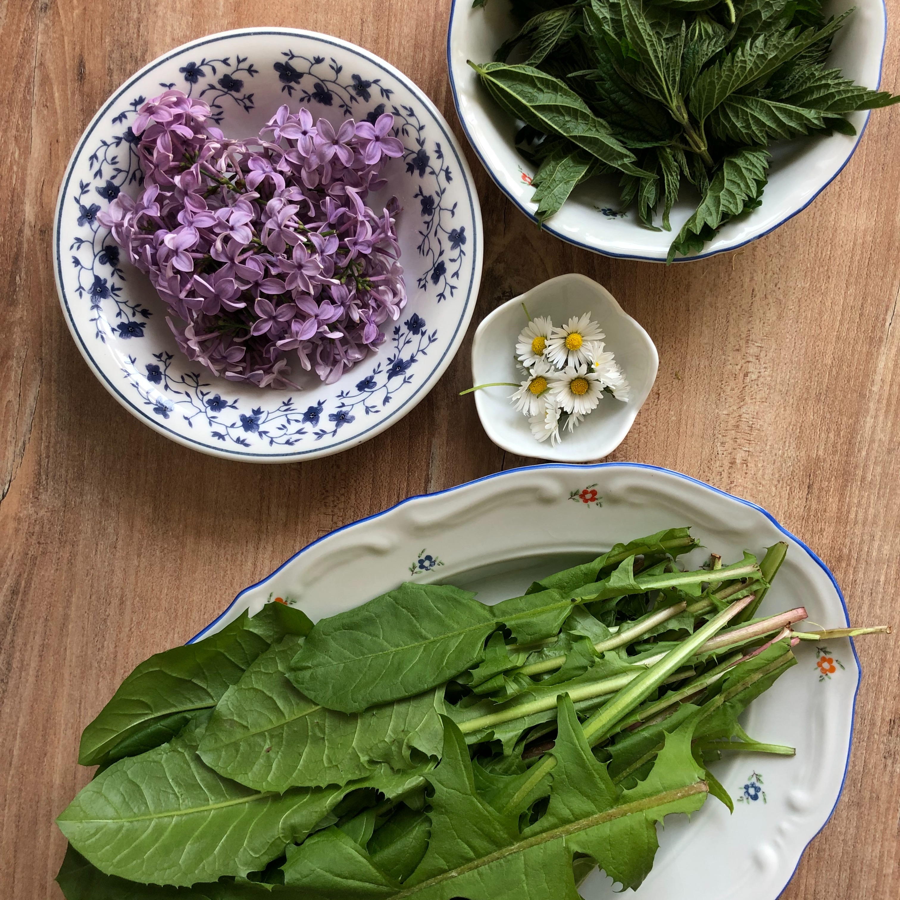 Kräuter kaufen - spare mit "Pauline10" thumbnail