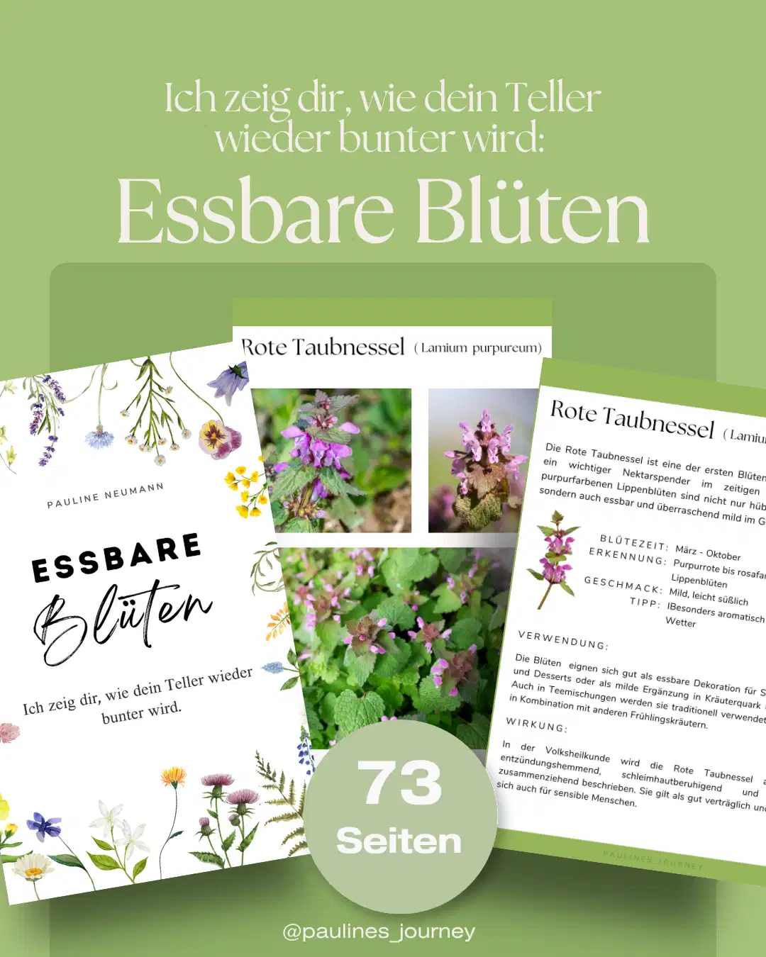 Essbare Blüten - Ich zeig dir, wie dein Teller wieder bunter wird (E-Book) thumbnail