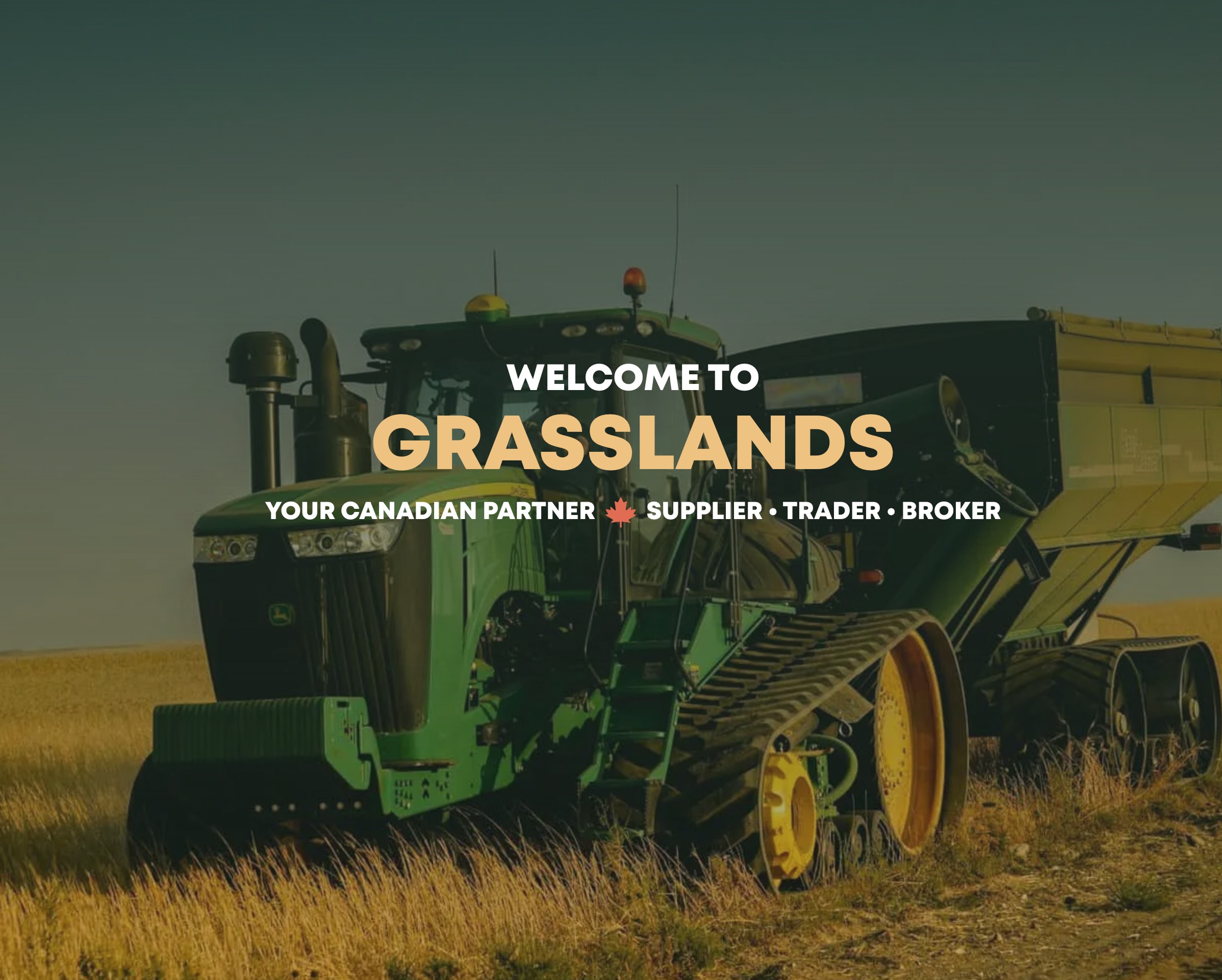 Our Website thumbnail