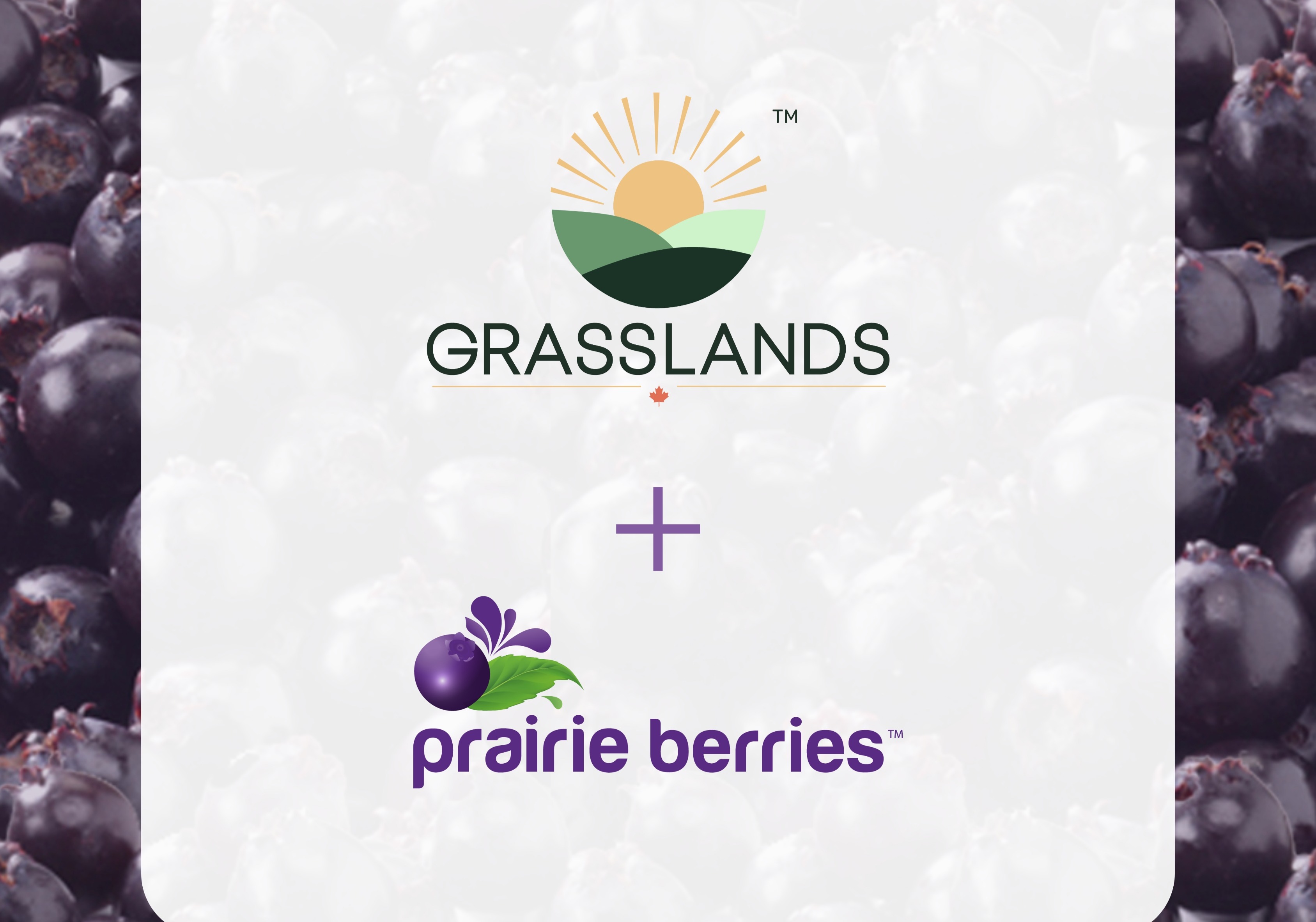 Prairie Berries Acquisition thumbnail