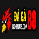 @daga88bonh · ĐÁ GÀ 88 thumbnail
