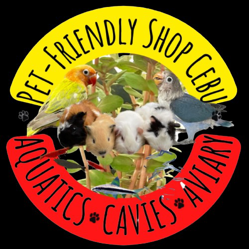 PetFriendly Shop Cebu — Bio Site