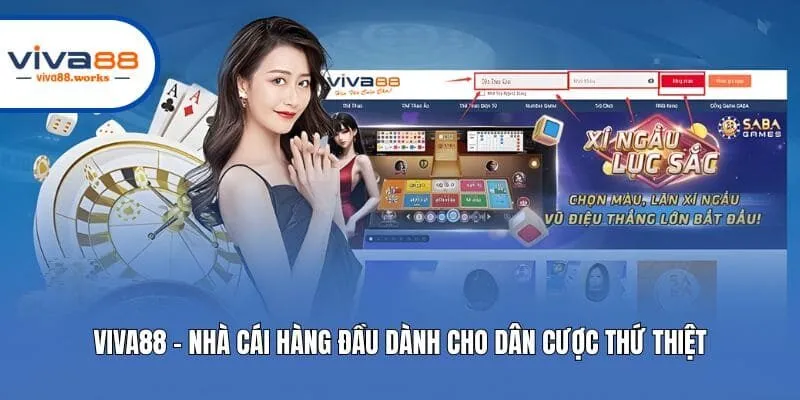 Nhà cái Viva88 thumbnail