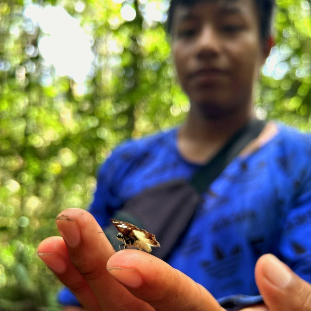 La mirada humana se pierde en la profundidad del entorno, recordándonos que la sabiduria puede surgir de las criaturas m