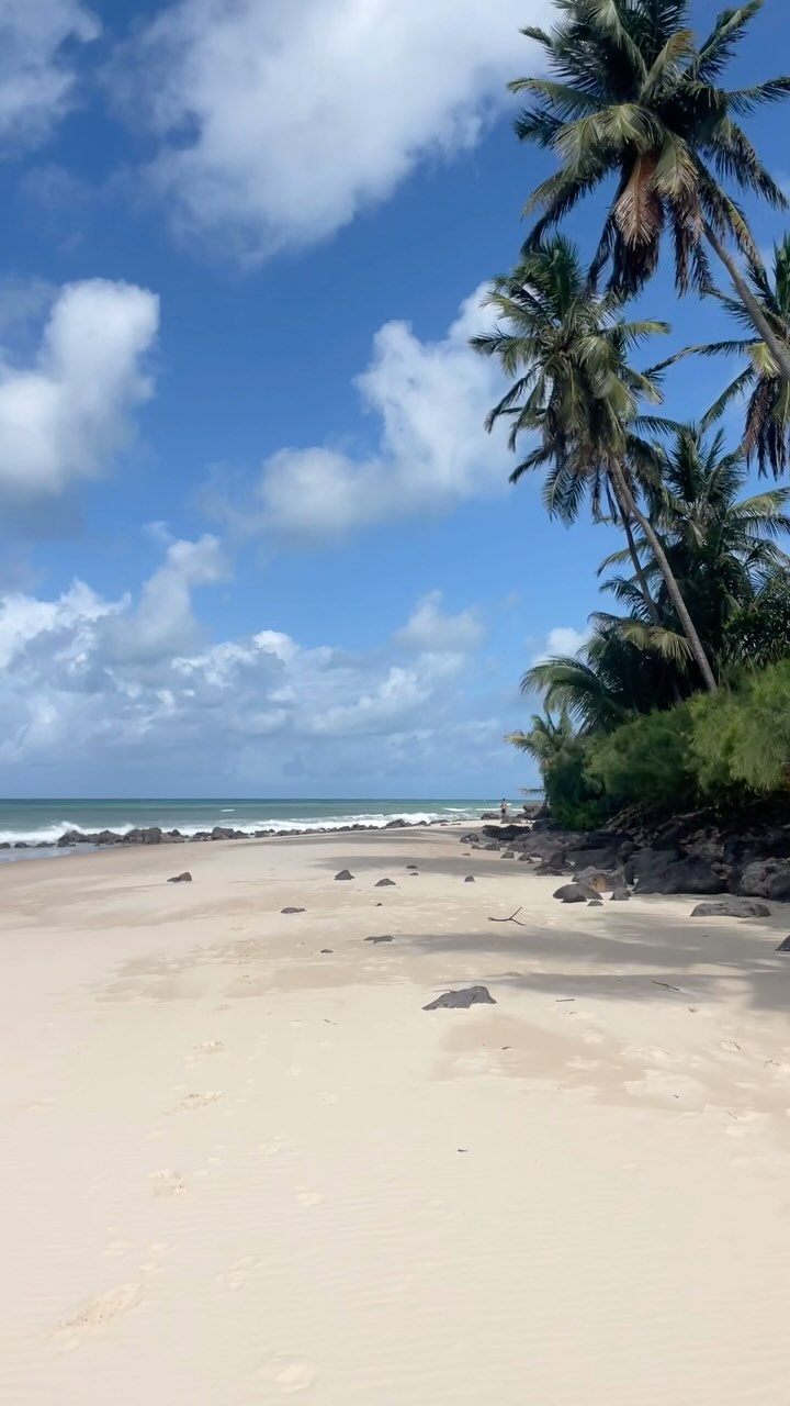 Pipa Paradise 🌴

Discover the hidden gems of Pipa! 🌊 

Each beach tells a unique story of paradise:

Praia do Giz: Spark