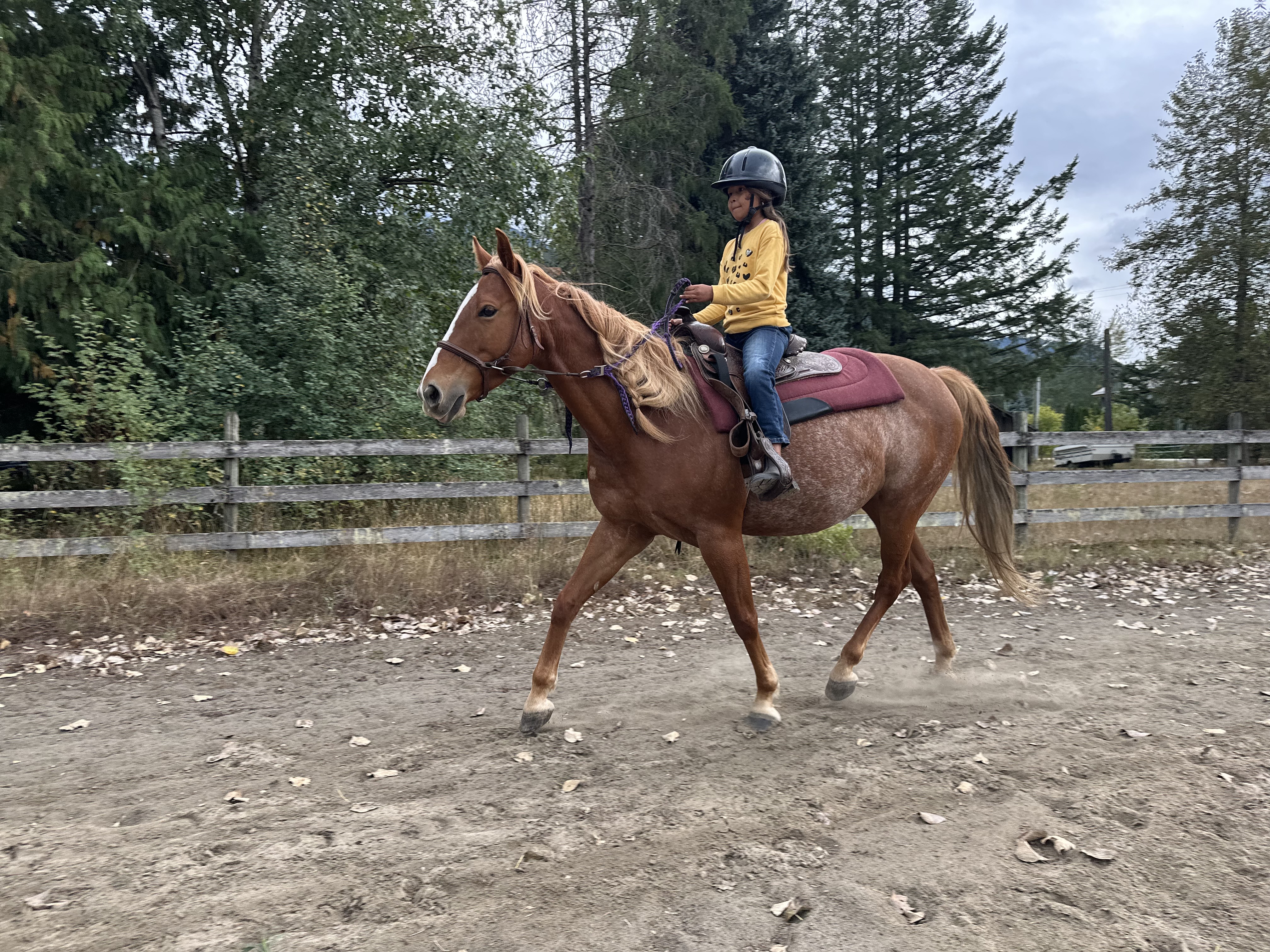 Riding Lessons  thumbnail