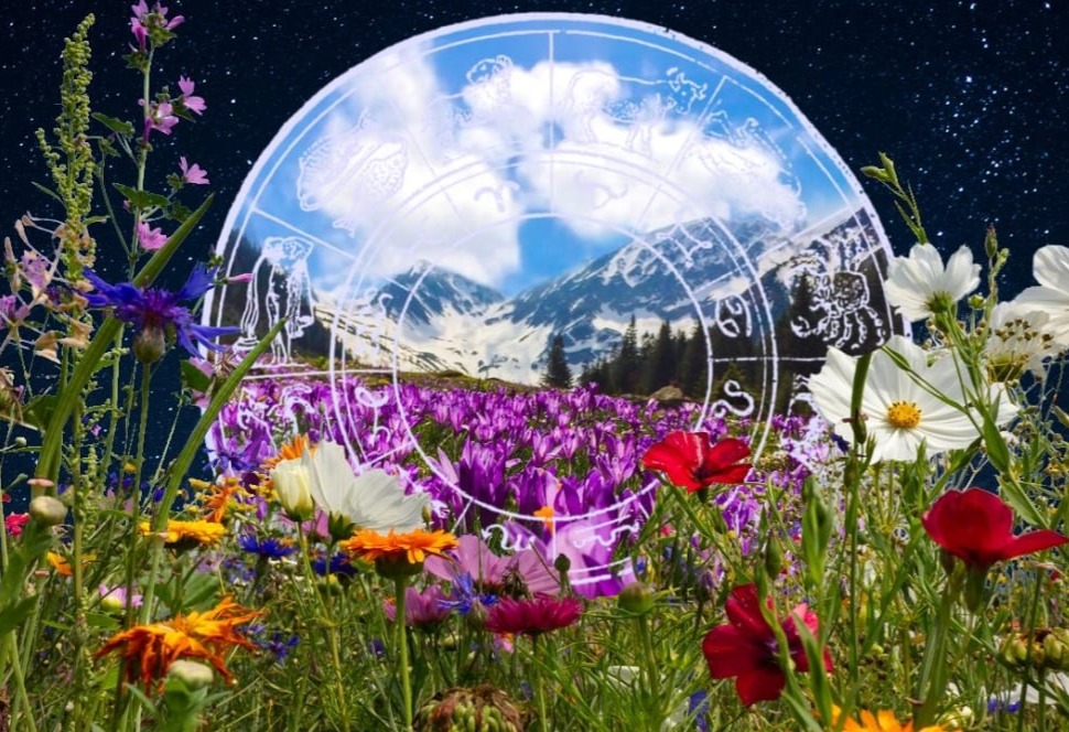 2025 PERSONAL YEARLY FORECAST (12 MONTHS) thumbnail