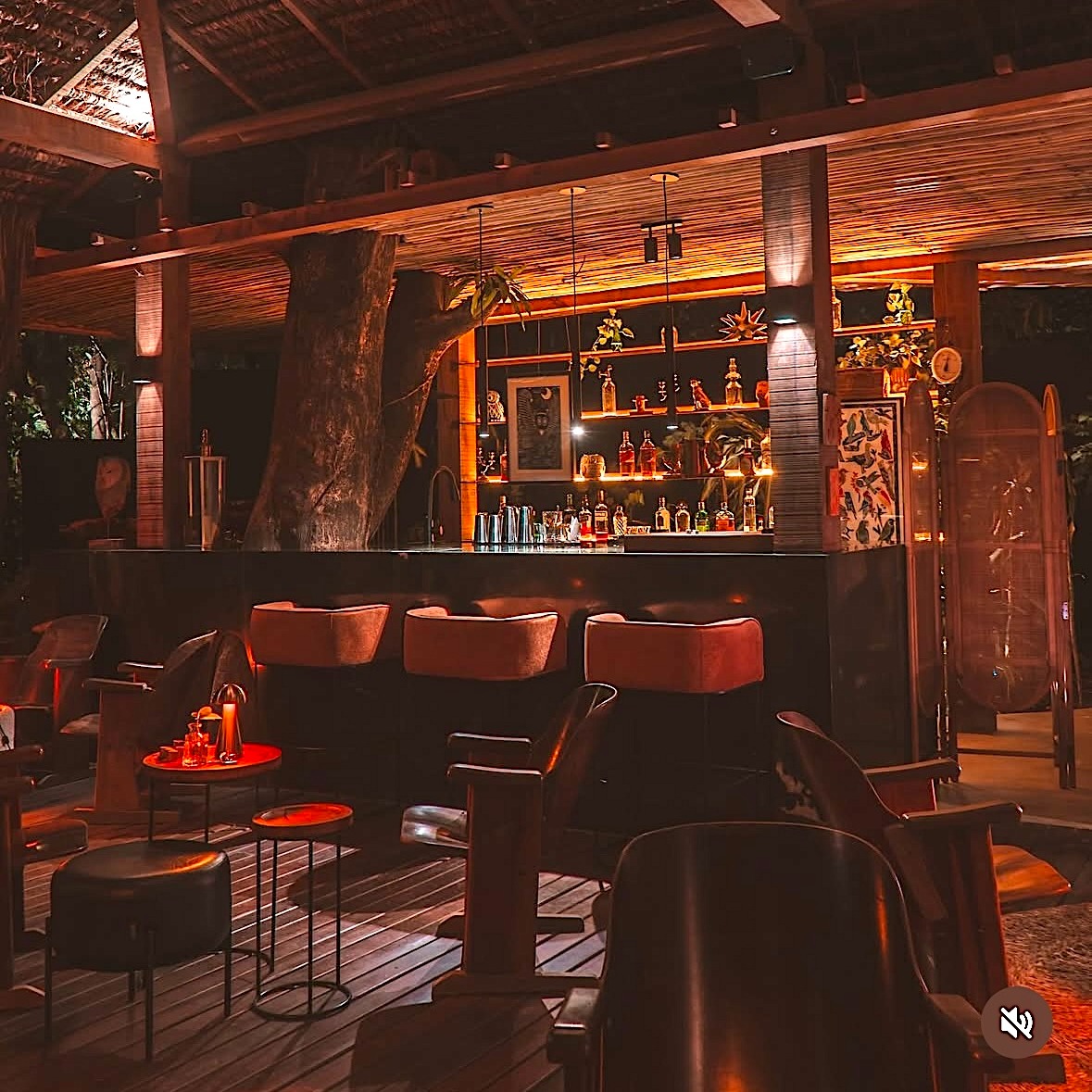 SELVA by Toca | Cocktail Bar | Info thumbnail